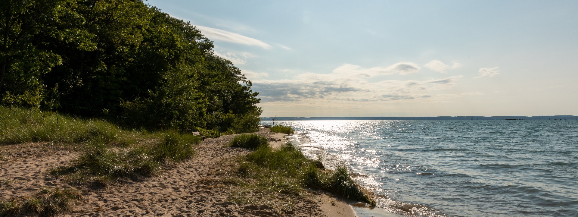 National Beach Summit Sponsorship