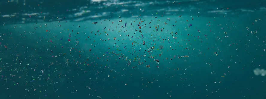 Great Lakes Microplastics Summit